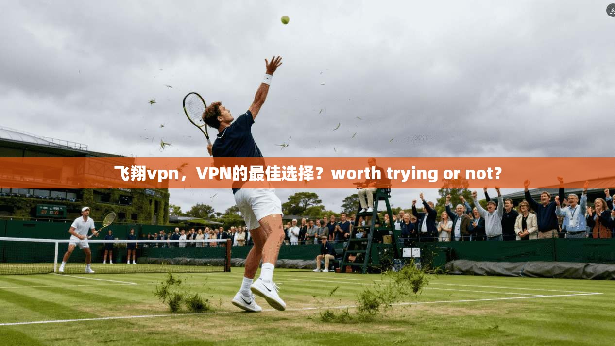 飞翔vpn，VPN的最佳选择？worth trying or not？