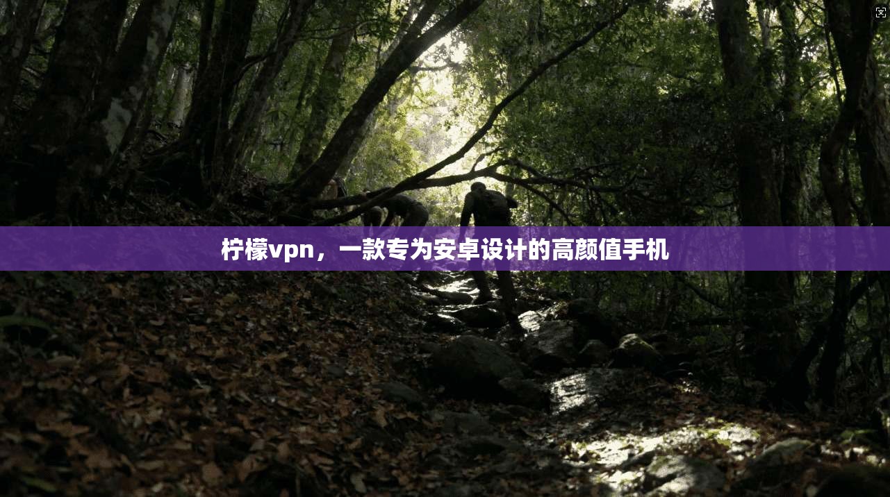 柠檬vpn，一款专为安卓设计的高颜值手机