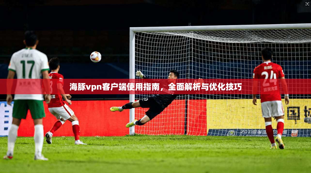海豚vpn客户端使用指南,全面解析与优化技巧
