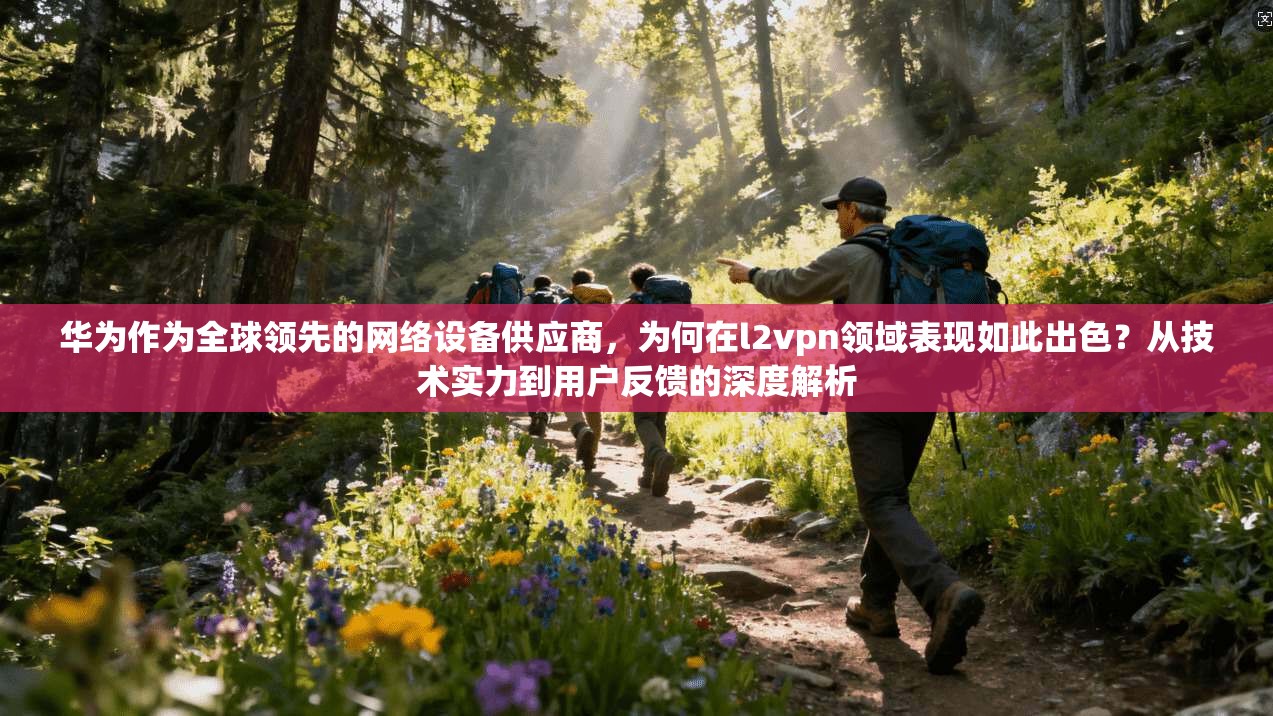 华为作为全球领先的网络设备供应商，为何在l2vpn领域表现如此出色？从技术实力到用户反馈的深度解析