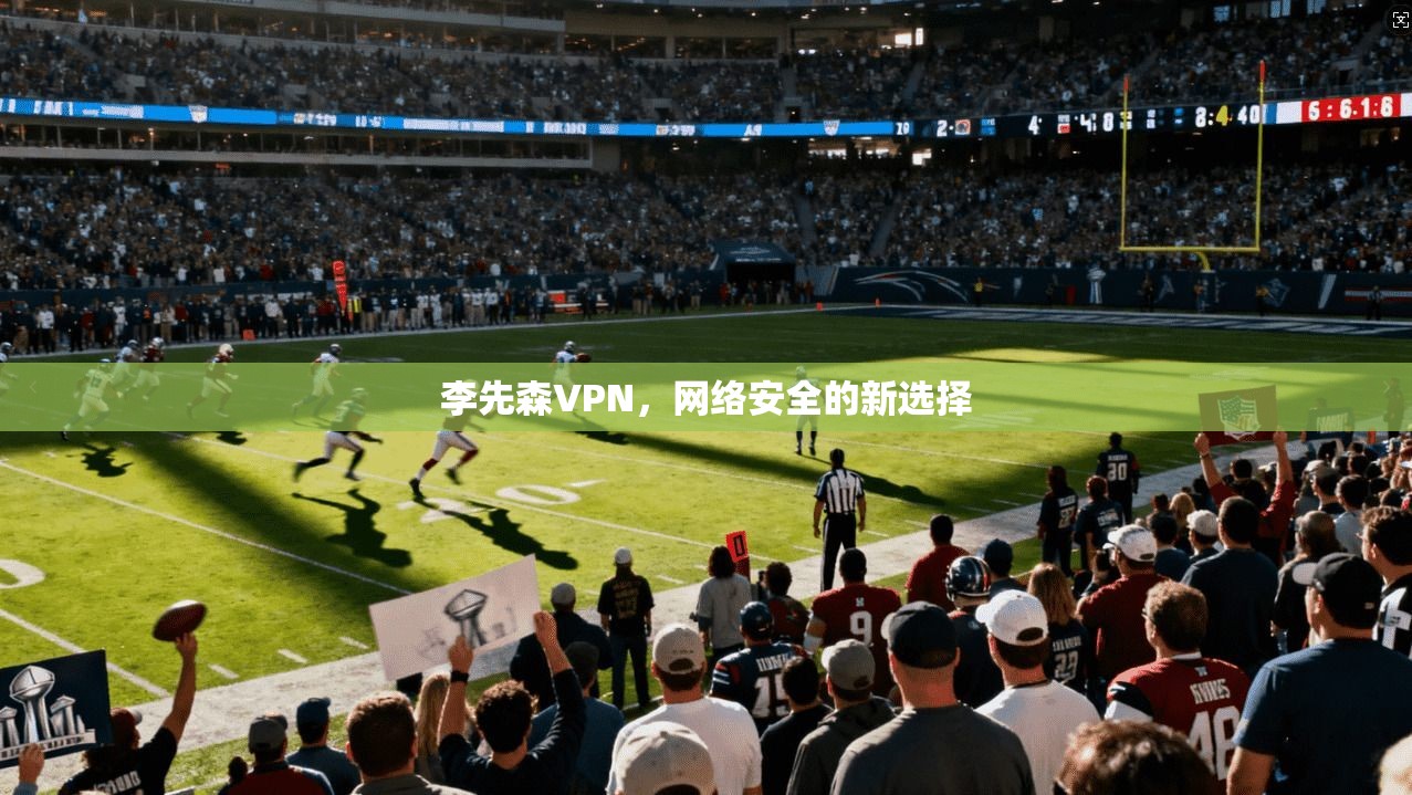 李先森VPN，网络安全的新选择