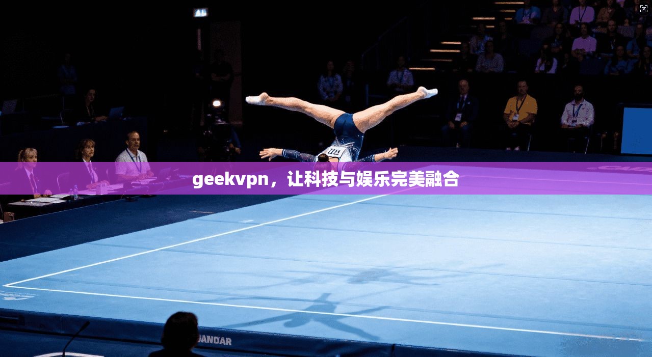 geekvpn，让科技与娱乐完美融合