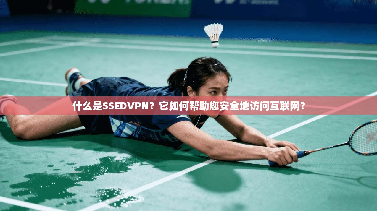 什么是SSEDVPN？它如何帮助您安全地访问互联网？