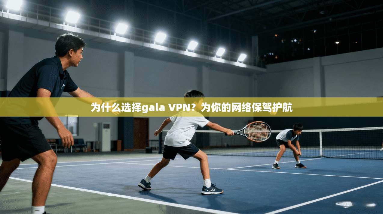 为什么选择gala VPN?为你的网络保驾护航