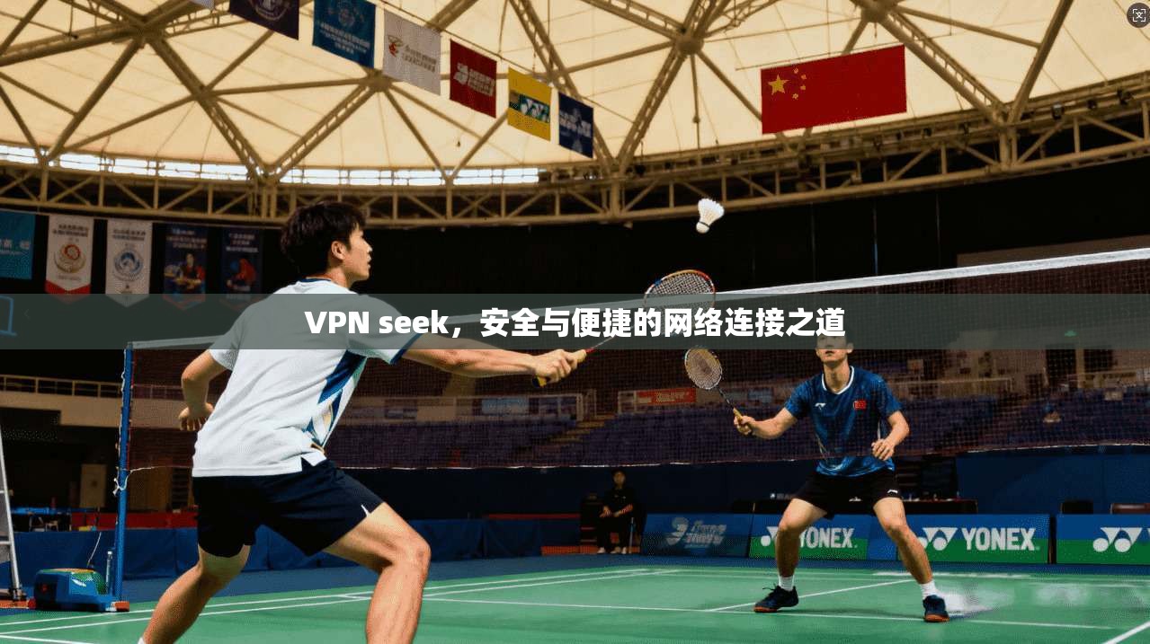 VPN seek,安全与便捷的网络连接之道