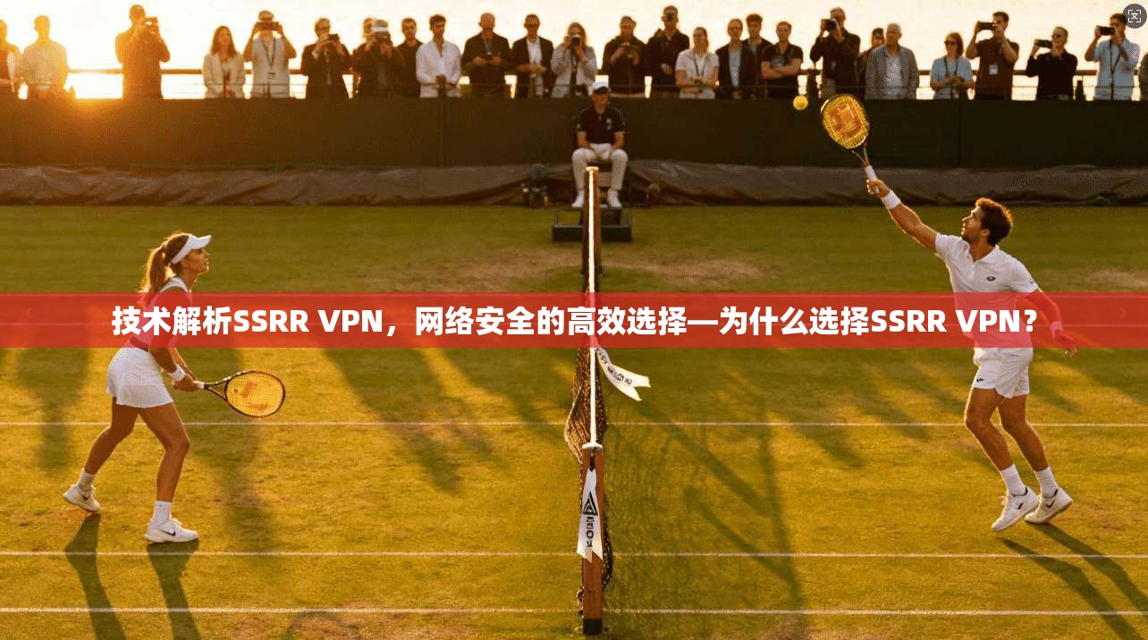 技术解析SSRR VPN，网络安全的高效选择—为什么选择SSRR VPN？
