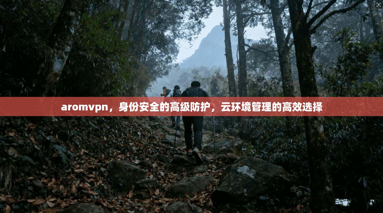 aromvpn，身份安全的高级防护，云环境管理的高效选择