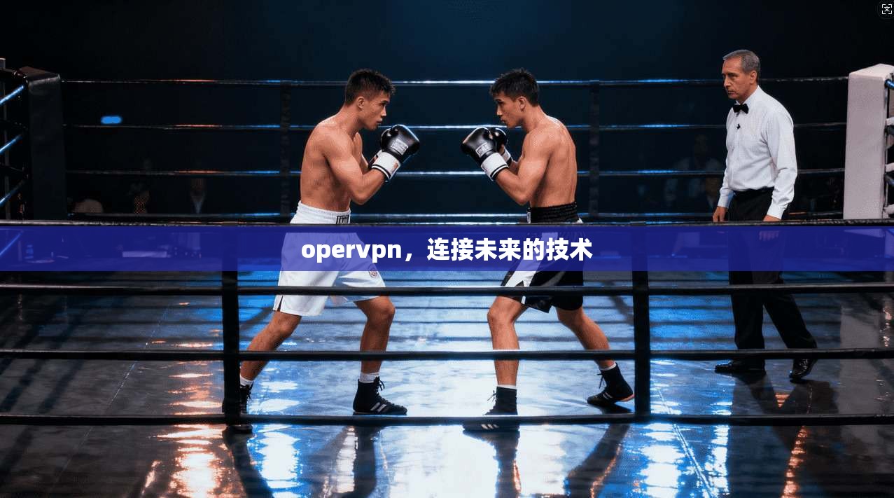 opervpn，连接未来的技术