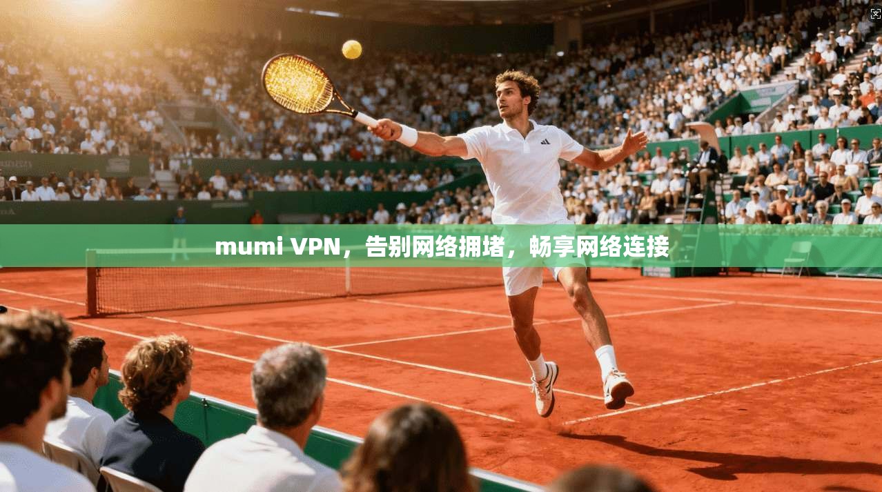 mumi VPN，告别网络拥堵，畅享网络连接