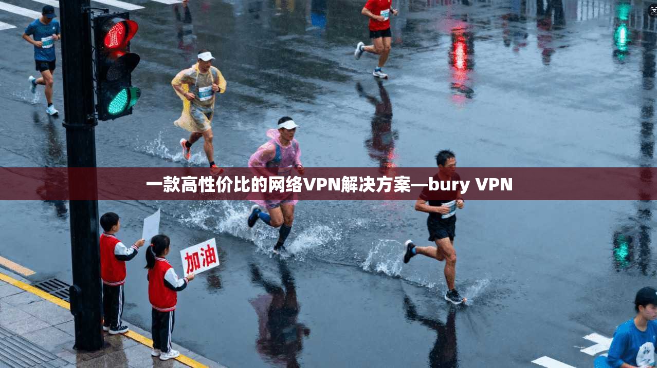 一款高性价比的网络VPN解决方案—bury VPN 第1张 一款高性价比的网络VPN解决方案—bury VPN 第1张