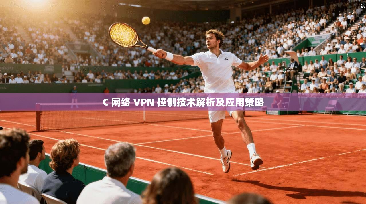 C 网络 VPN 控制技术解析及应用策略