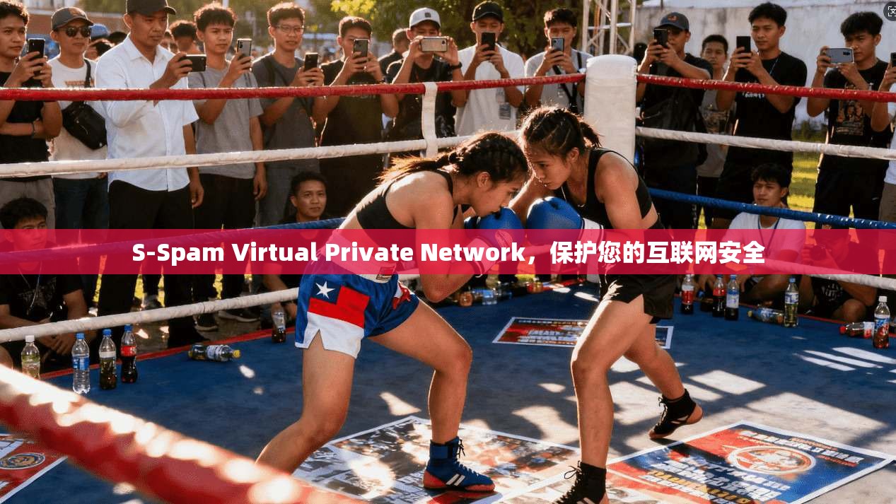 S-Spam Virtual Private Network，保护您的互联网安全