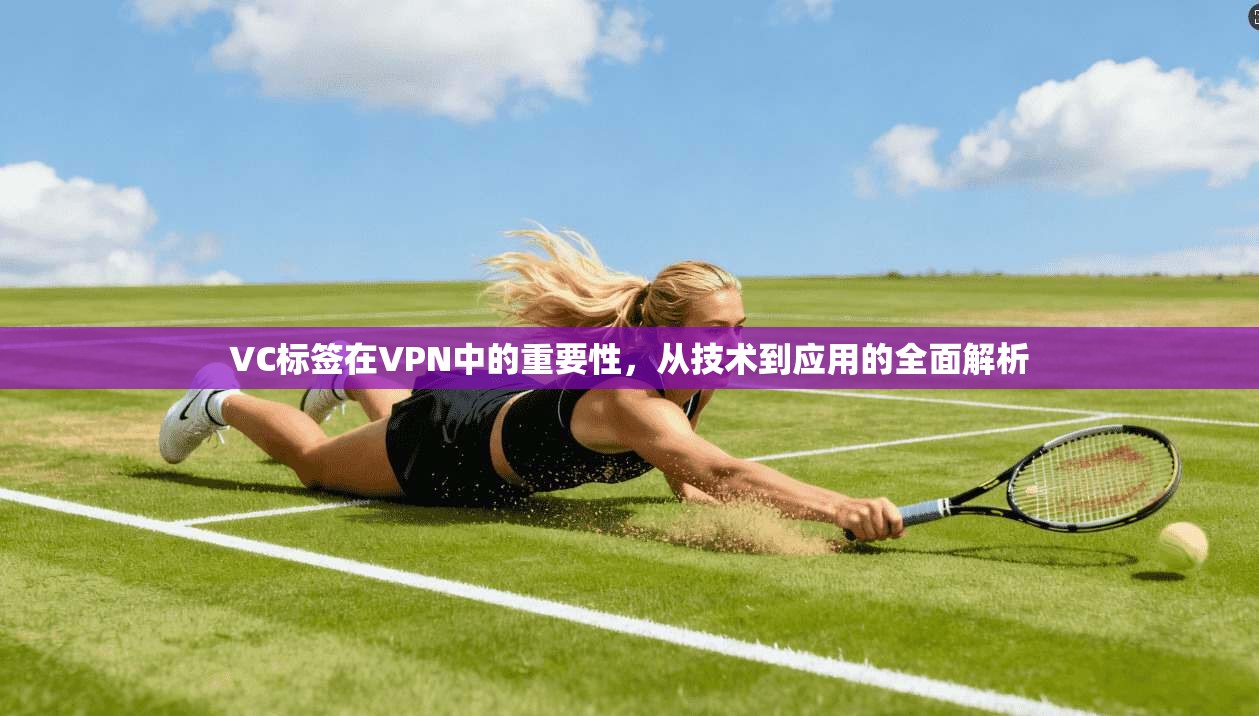 VC标签在VPN中的重要性，从技术到应用的全面解析
