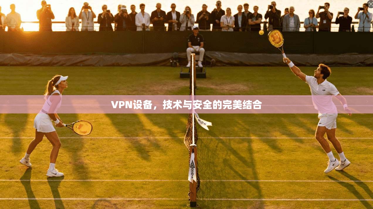 VPN设备，技术与安全的完美结合