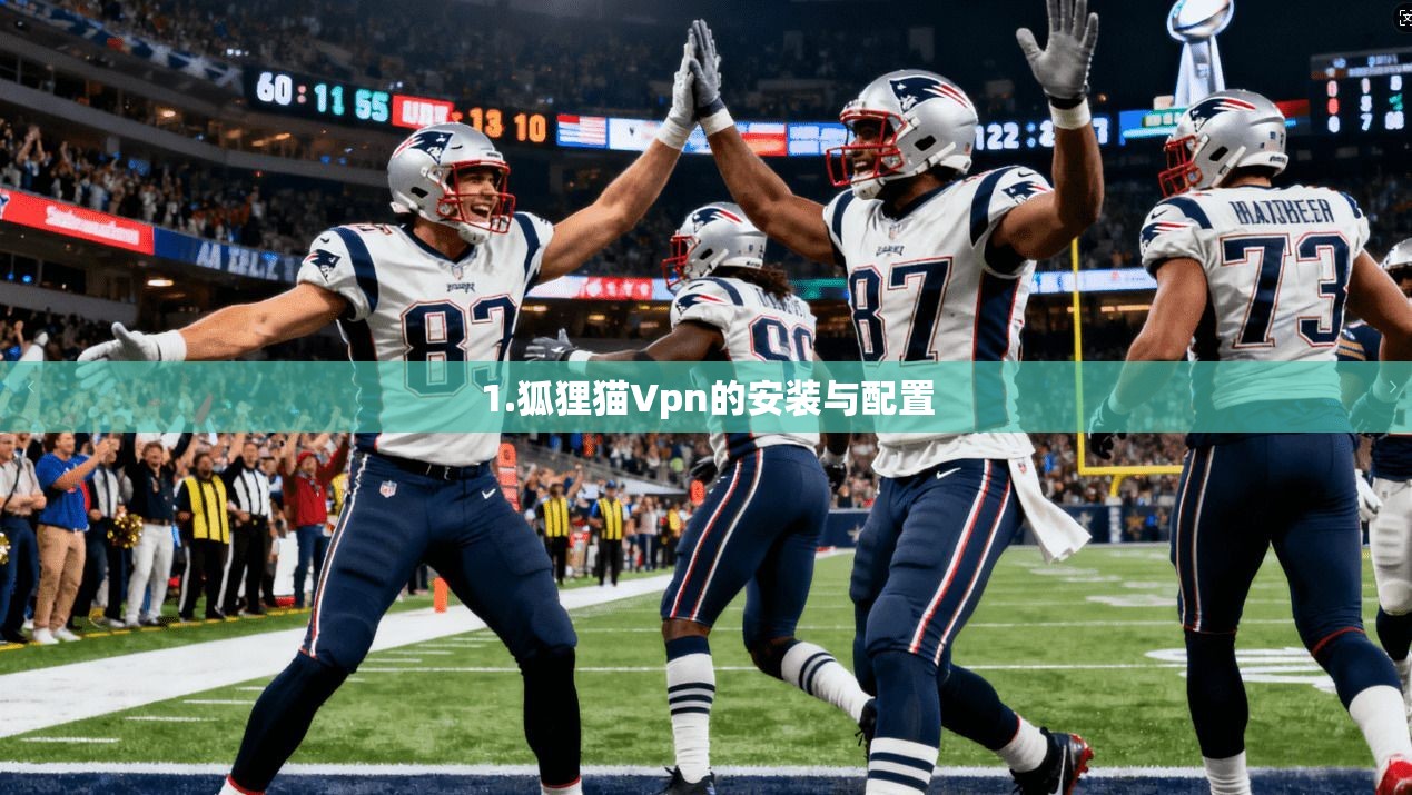 1.狐狸猫Vpn的安装与配置