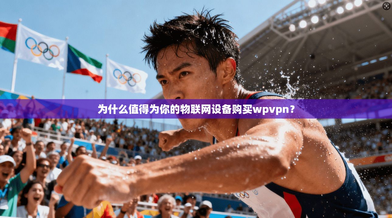 为什么值得为你的物联网设备购买wpvpn？