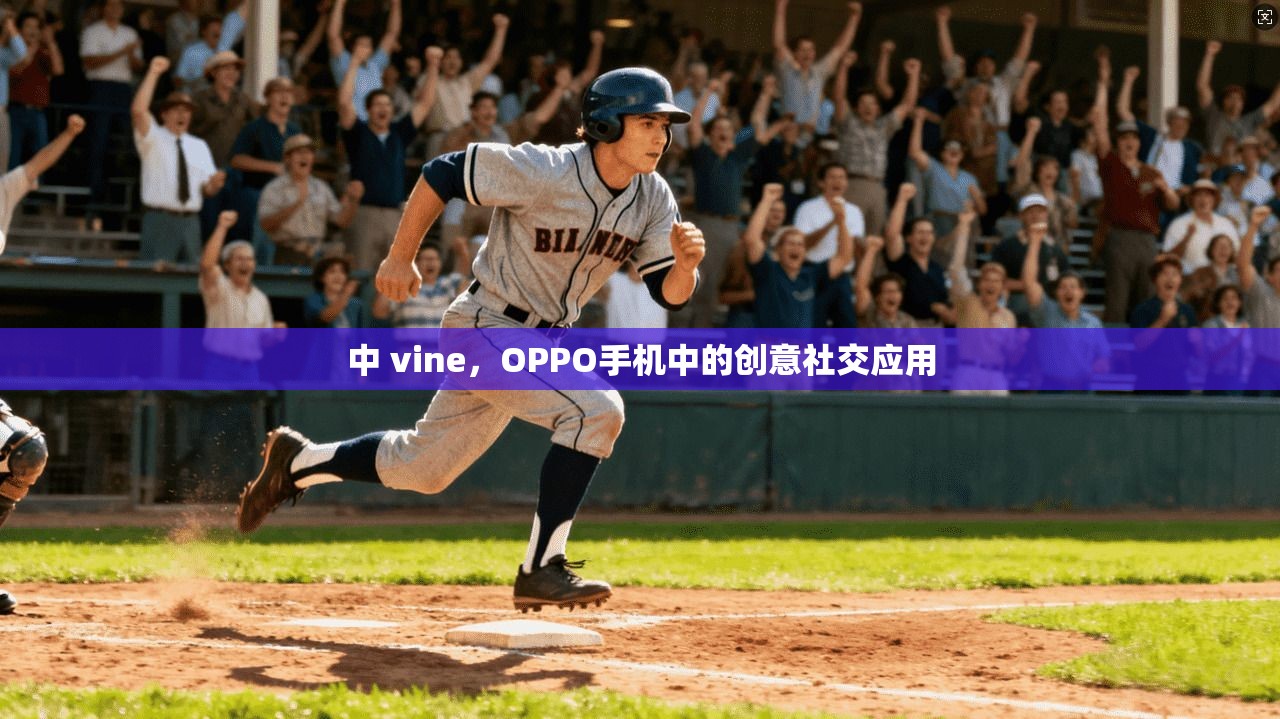 中 vine,OPPO手机中的创意社交应用