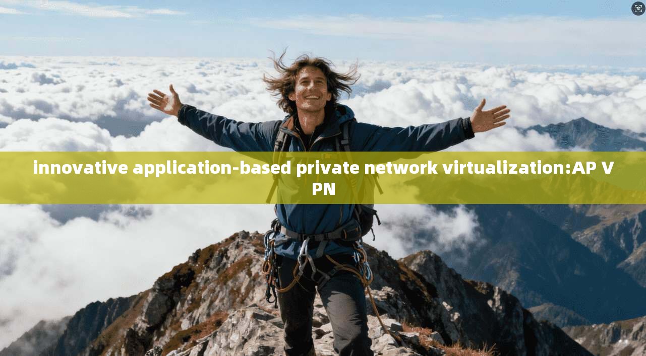 innovative application-based private network virtualization:AP VPN