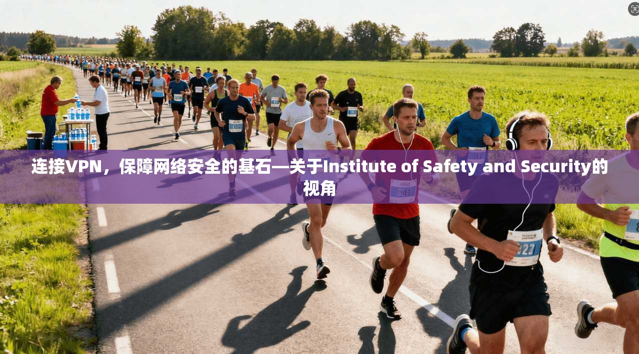 连接VPN，保障网络安全的基石—关于Institute of Safety and Security的视角