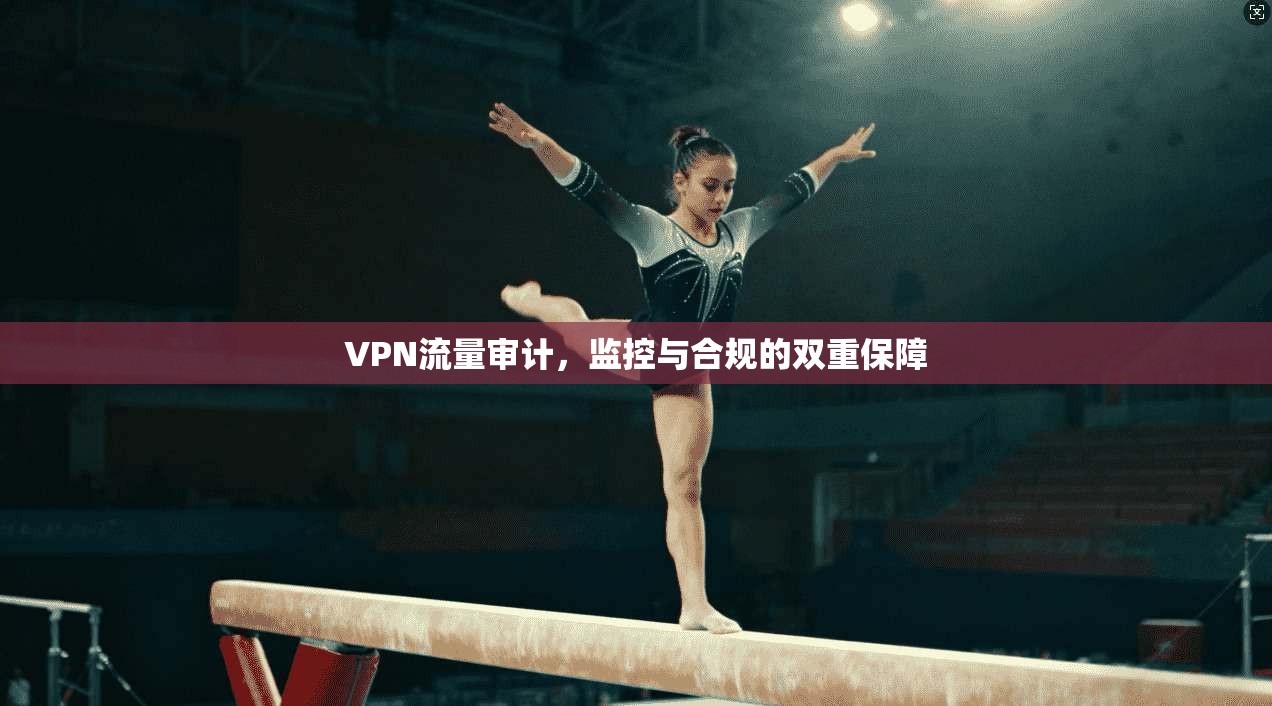 VPN流量审计,监控与合规的双重保障