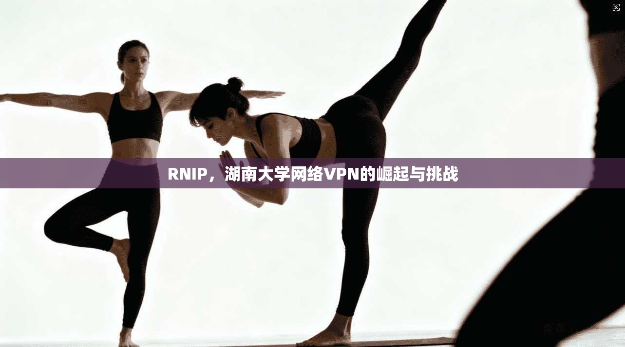 RNIP,湖南大学网络VPN的崛起与挑战