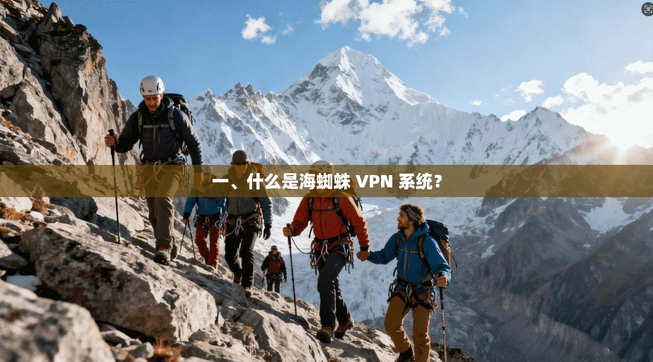一、什么是海蜘蛛 VPN 系统？