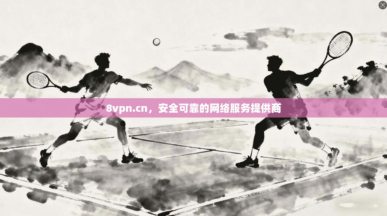 8vpn.cn，安全可靠的网络服务提供商