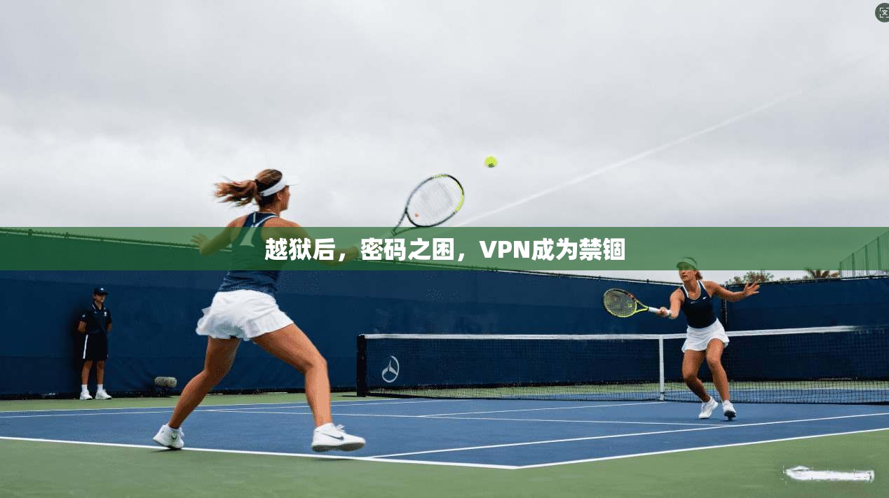 越狱后，密码之困，VPN成为禁锢