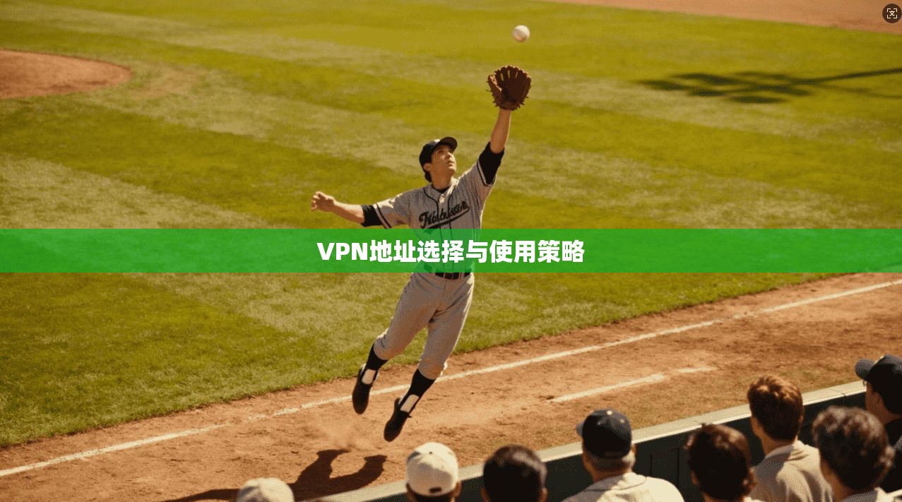 VPN地址选择与使用策略