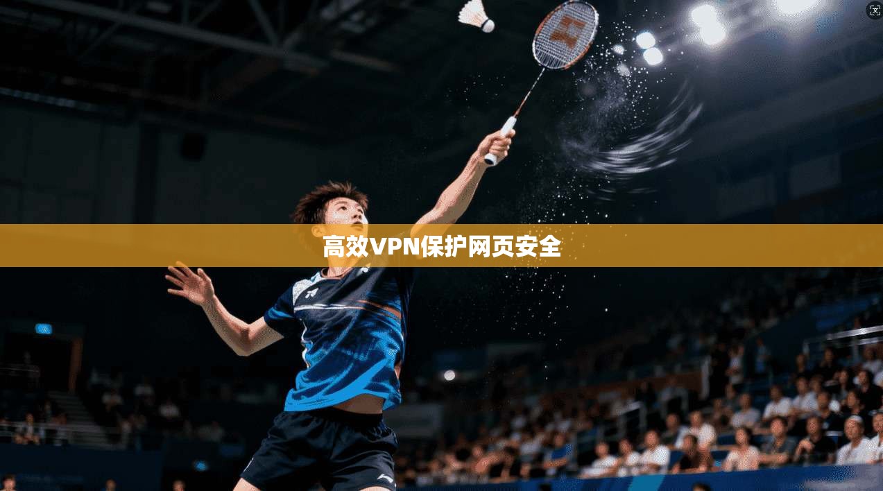 高效VPN保护网页安全