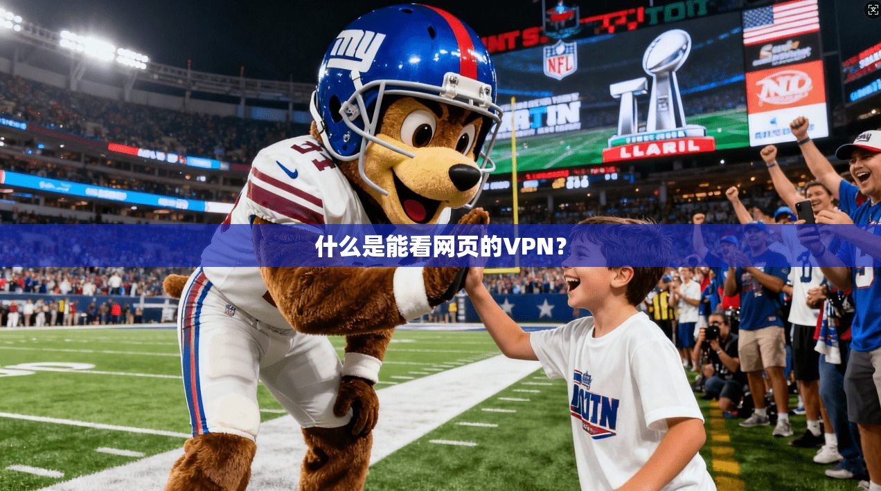 什么是能看网页的VPN？