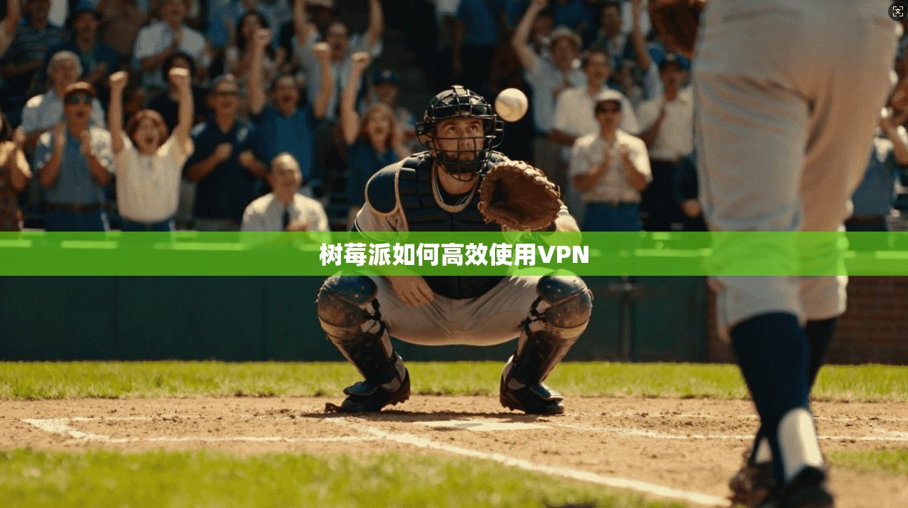 树莓派如何高效使用VPN