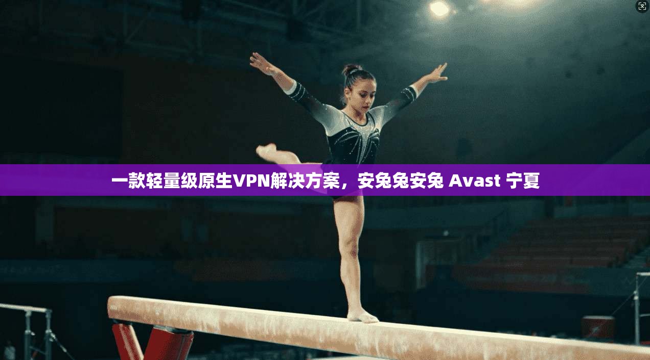 一款轻量级原生VPN解决方案，安兔兔安兔 Avast 宁夏
