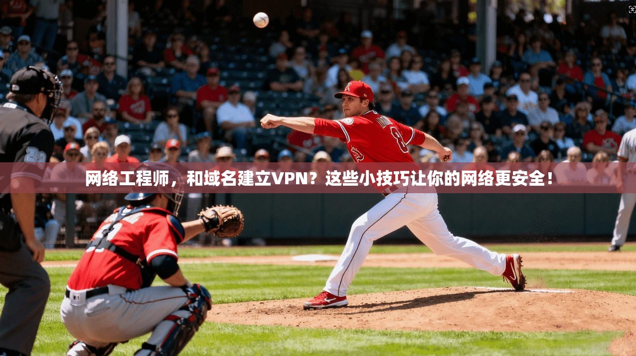 网络工程师，和域名建立VPN？这些小技巧让你的网络更安全！