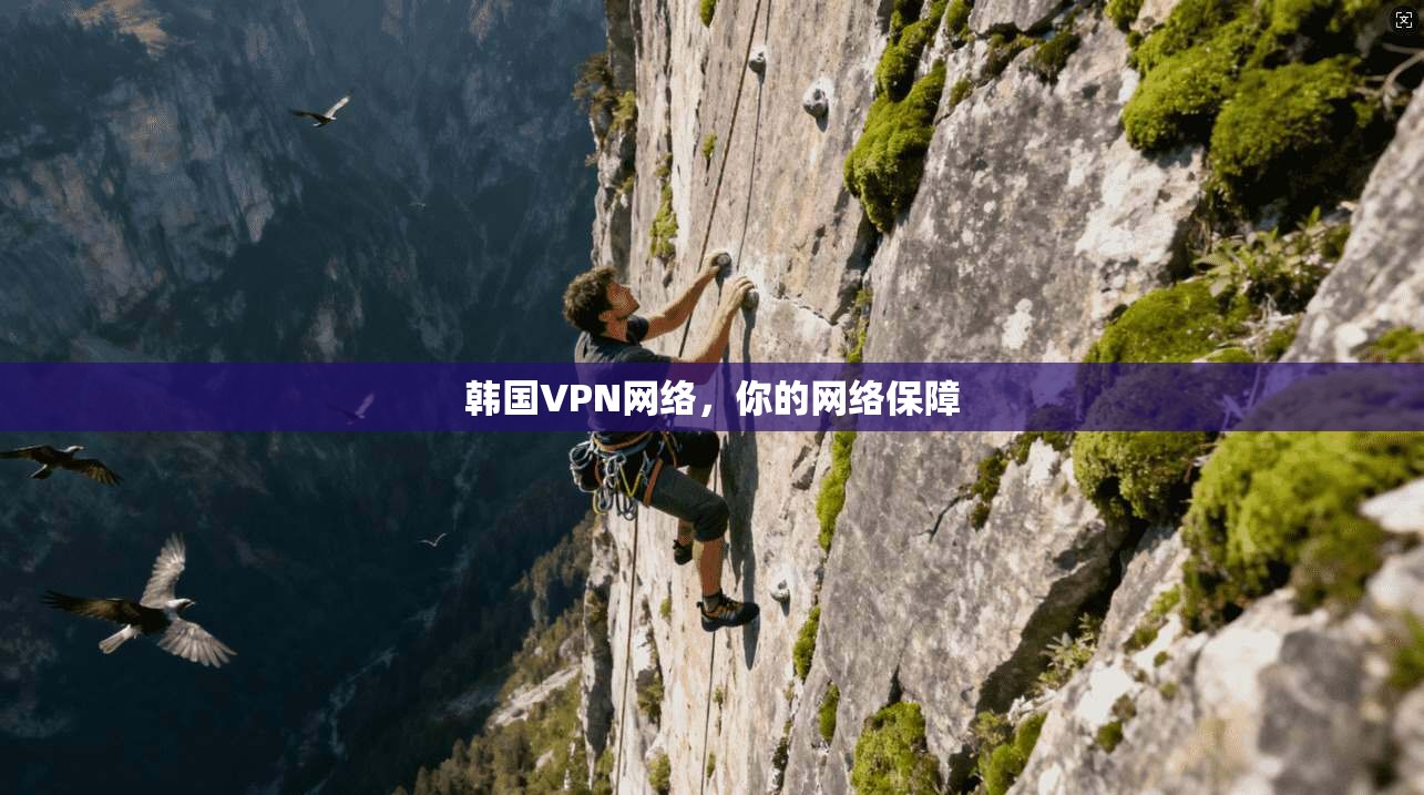 韩国VPN网络,你的网络保障