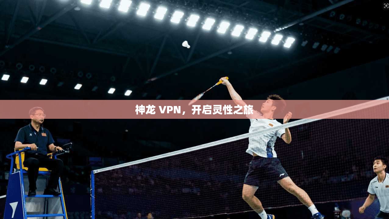 神龙 VPN，开启灵性之旅