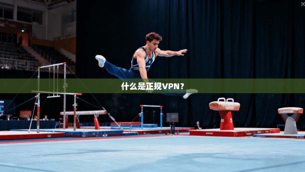 什么是正规VPN？