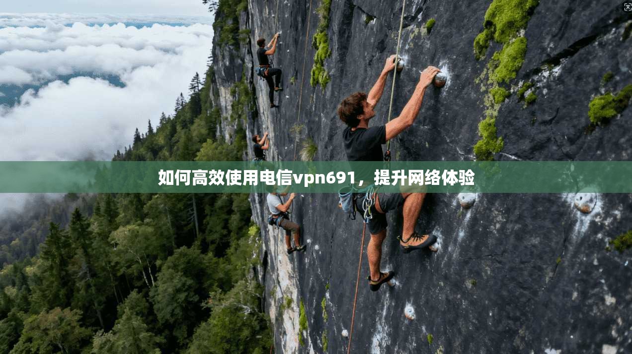 如何高效使用电信vpn691，提升网络体验