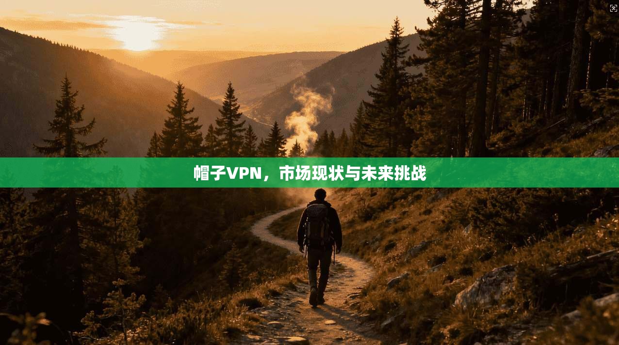 帽子VPN，市场现状与未来挑战