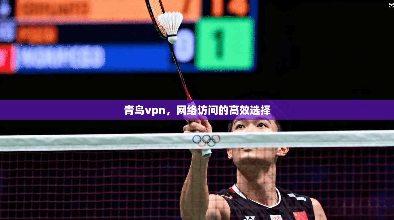 青鸟vpn，网络访问的高效选择