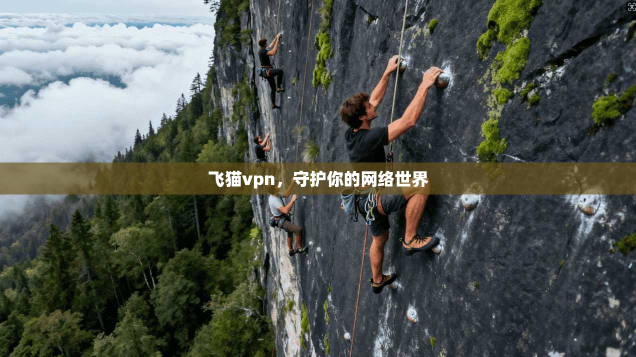 飞猫vpn,守护你的网络世界