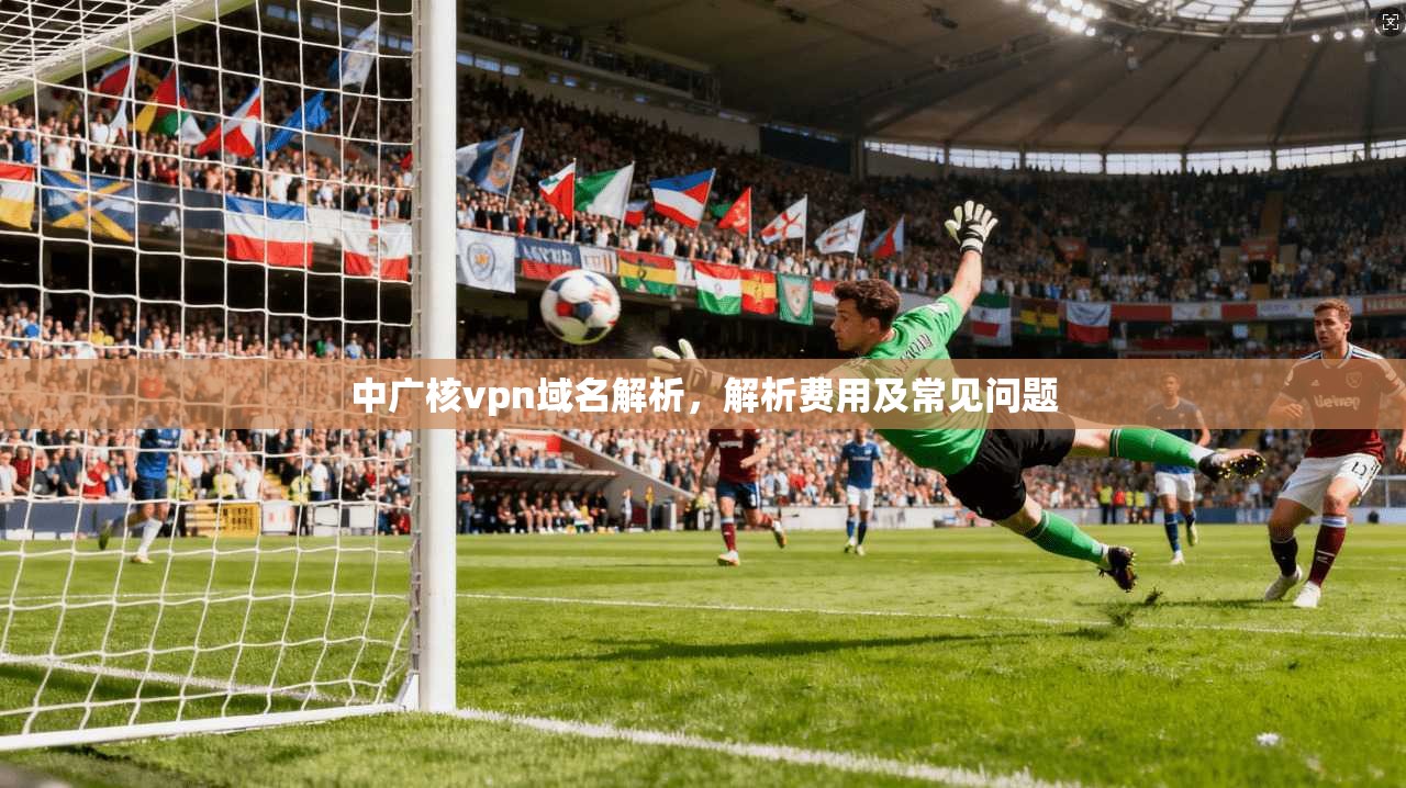 中广核vpn域名解析,解析费用及常见问题