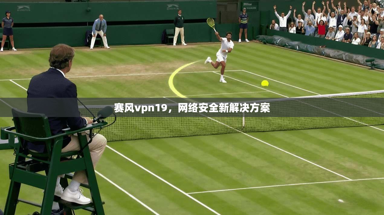 赛风vpn19,网络安全新解决方案