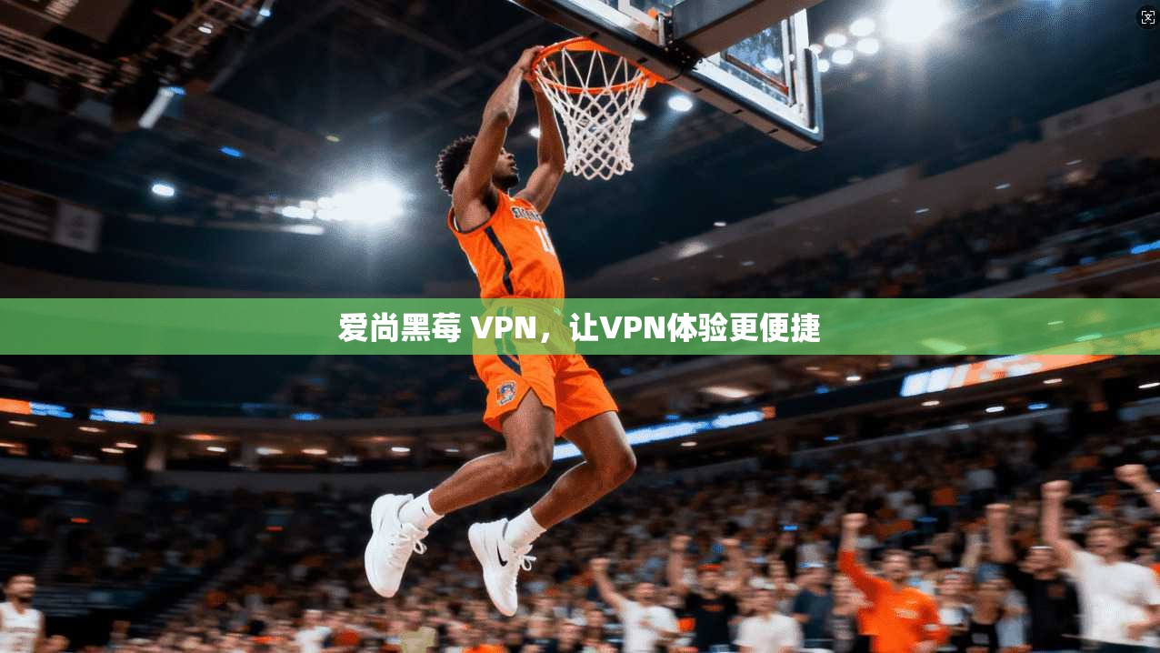 爱尚黑莓 VPN,让VPN体验更便捷