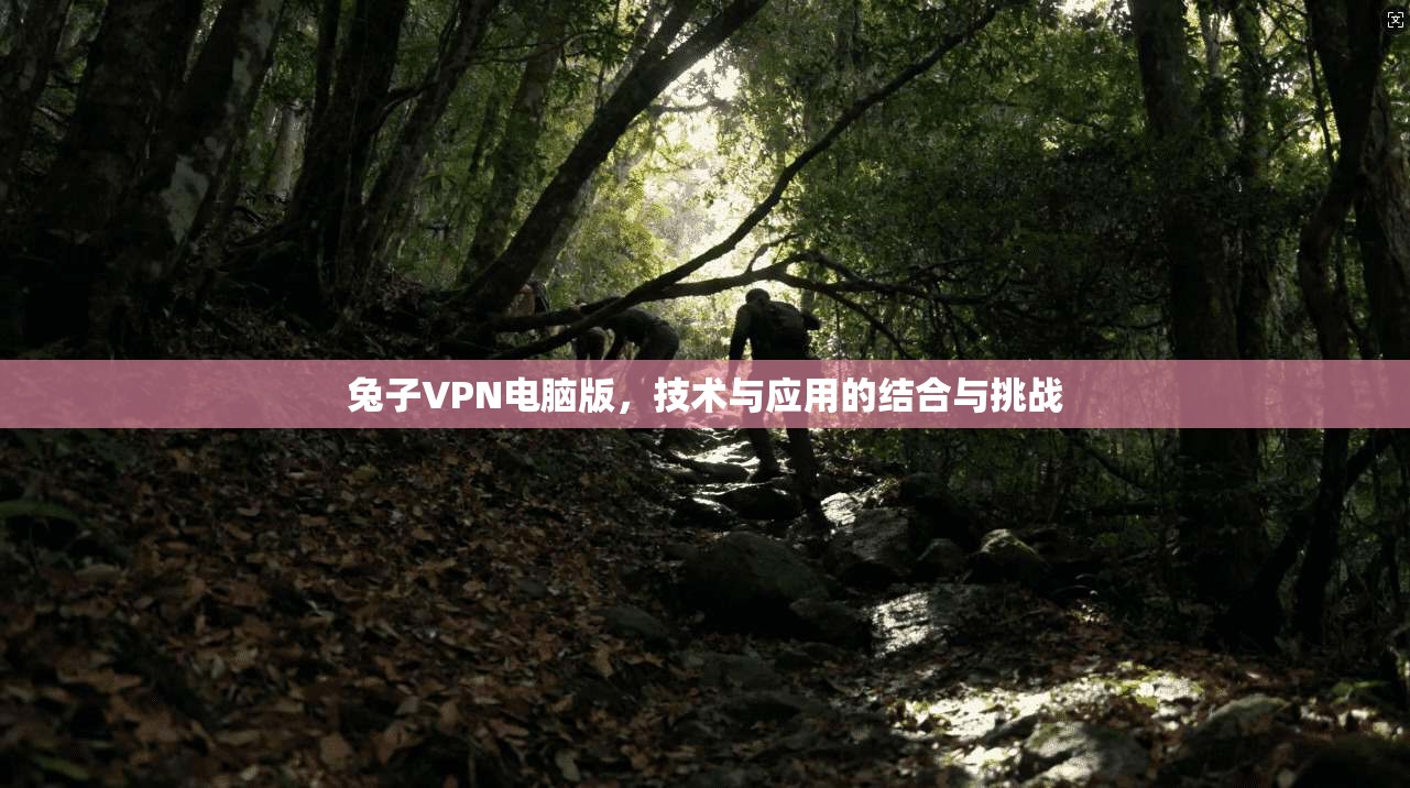 兔子VPN电脑版，技术与应用的结合与挑战