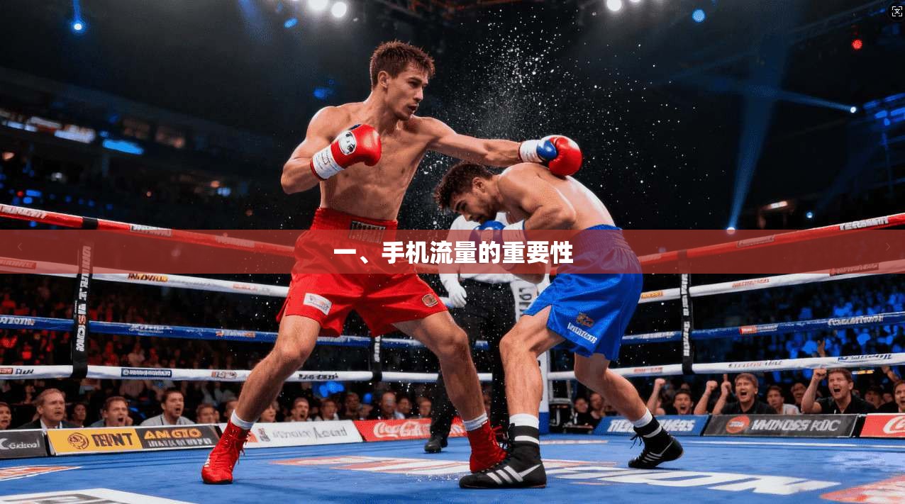 一、手机流量的重要性