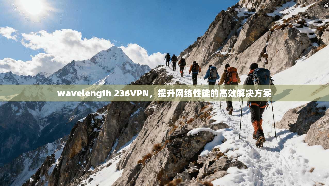 wavelength 236VPN，提升网络性能的高效解决方案
