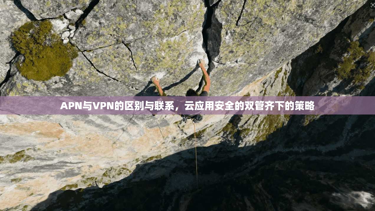 APN与VPN的区别与联系，云应用安全的双管齐下的策略