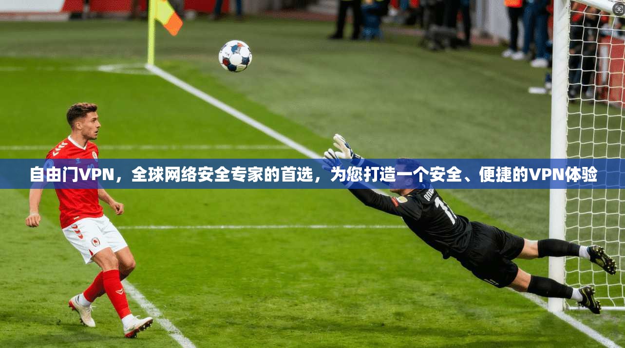 自由门VPN，全球网络安全专家的首选，为您打造一个安全、便捷的VPN体验