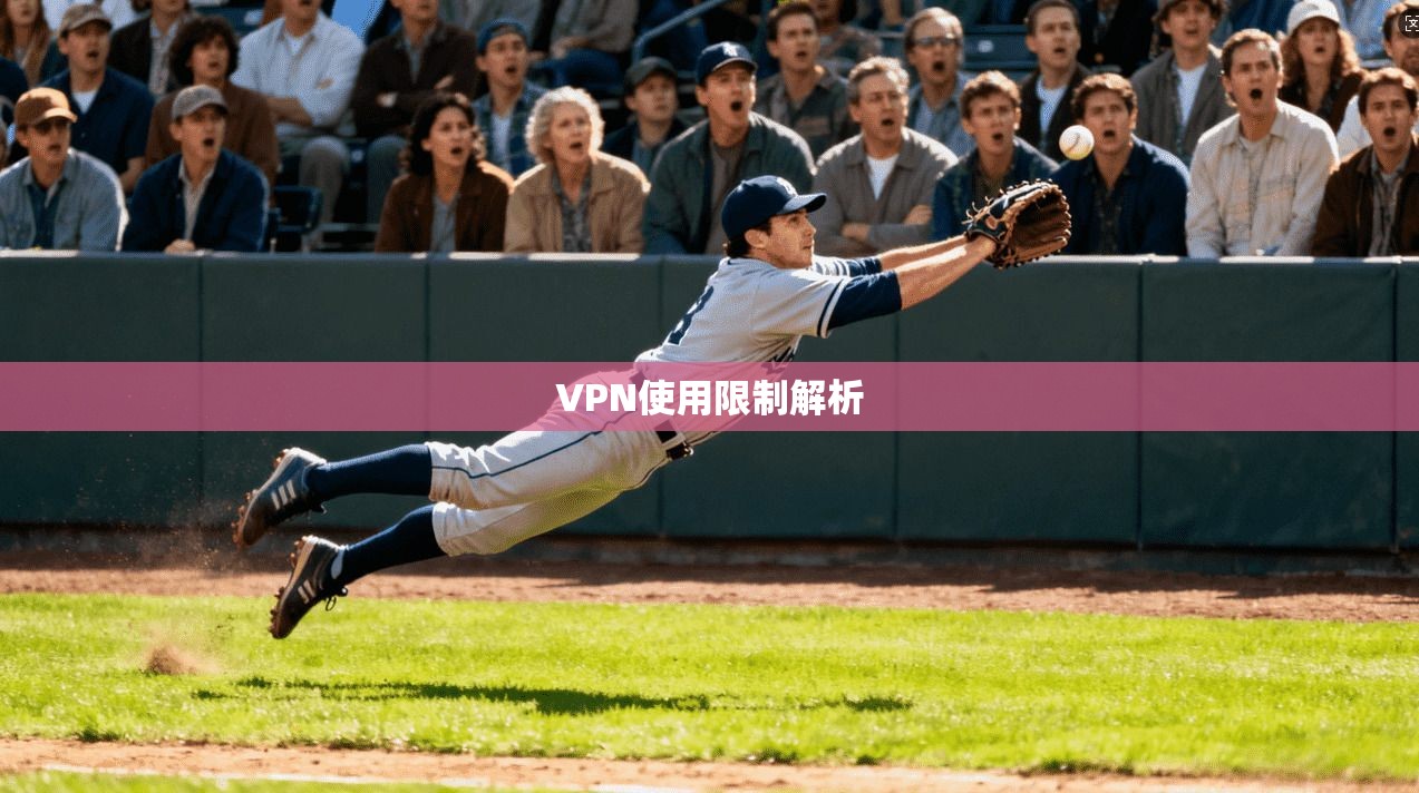 VPN使用限制解析